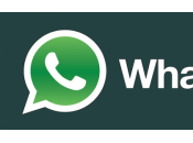WhatsApp down Rete ironizza