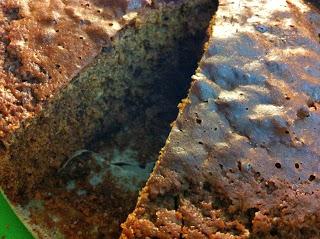 Torta prelibata con farina di carrube, mandorle, arancia e pepite di cioccolato