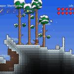 Terraria… prende Vita in estate