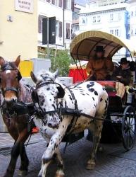 mercatino di natale,zelten,musiche,atmosfere,vin brulè