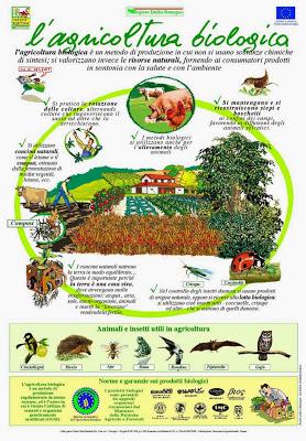 L’agricoltura biologica in Puglia