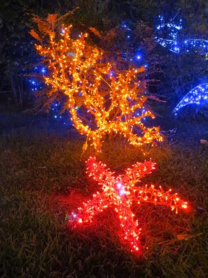 Fotogirando tra i Mercatini di Natale in Campania