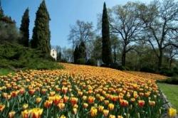 parcogiardinosigurta1