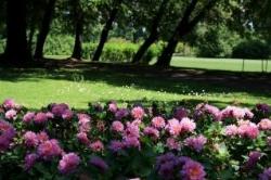 parcogiardinosigurta2