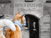 Pellegrino Artusi, ricette d'osteria