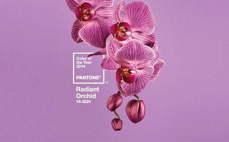 PANTONE: IL COLORE DELL'ANNO E'... RADIANT ORCHID