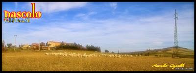 lo scorso sabato in val d'Orcia