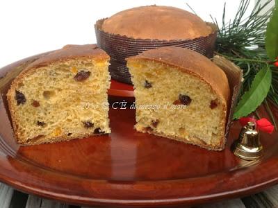 Prove di panettone con lievito liquido