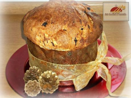 Il mio primo Panettone – con lievito madre panettone 4bis