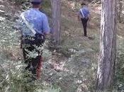 Appartiene Santis Anna Concetta Immacolata cadavere rinvenuto Cesano Boscone