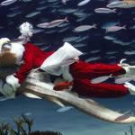 Babbo Natale “versione sub” all’acquario di Tokyo (foto)