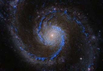 In azzurro la distribuzione dell’idrogeno molecolare - il materiale grezzo da cui si formano le stelle - nella Galassia Vortice M51, come rilevata dal progetto PAWS. L’immagine sullo sfondo di M51 è del telescopio spaziale Hubble. Crediti: PAWS team/IRAM/NASA HST/T. A. Rector (University of Alaska Anchorage)