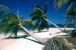 Thailandia: la terra del sorriso e dell'armonia Thailandia: la terra del sorriso e dell'armonia