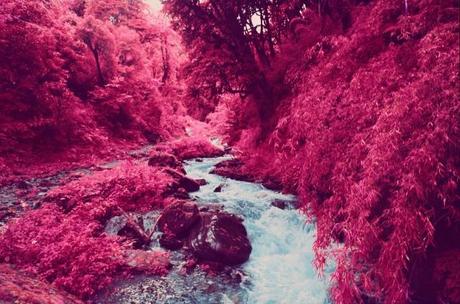 inspiration-sean-lynch-infrared-photography
