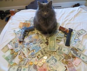 cash guns cat