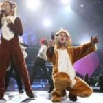 ‘The Fox’ del duo norvegese Ylvis uno dei video più visti del 2013