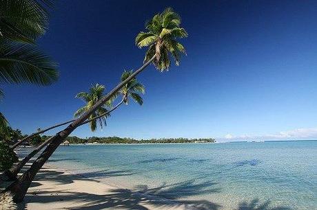 La spiaggia ed il mare di Musket Cove Island Resort - Mamnuca, Isole Fiji