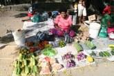 Una donna Fijiana vende frutta al Mercato di Nadi, Fiji
