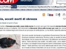 Romania, uccelli morti sbronza