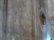 Stanze Tenente Borgo Pietro Bologna