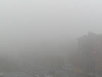 La nebbia in strada e nella vita...................