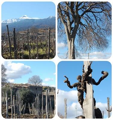 Ma il cielo è sempre più blu….sopra l’Etna