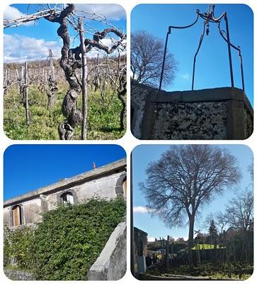 Ma il cielo è sempre più blu….sopra l’Etna