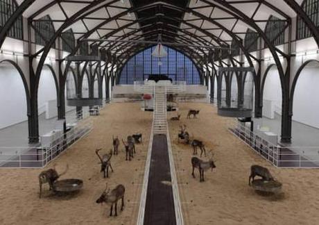 DORMIRE AL MUSEO? IN GERMANIA E’ POSSIBILE