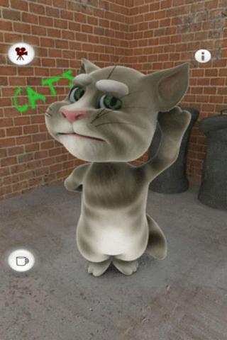 Talking Tom Cat