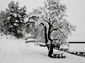 Versi sull'inverno