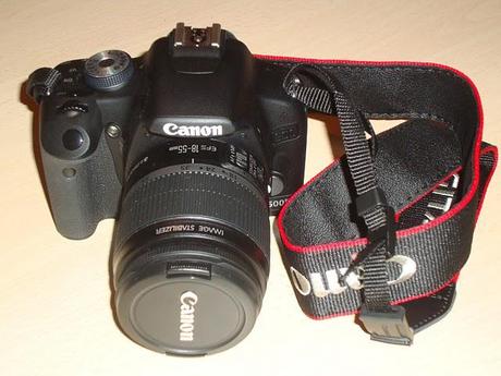 New camera.....