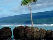 Attrazioni perdere Taveuni Island