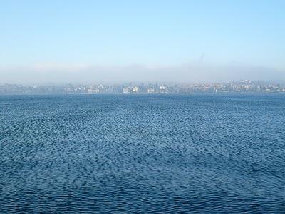 Il sole bacia  il cimento invernale alla Fraglia vela di Desenzano: