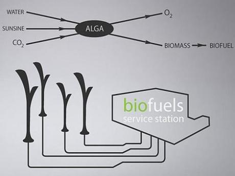 Biolamp: trasforma lo smog in carburante per le auto