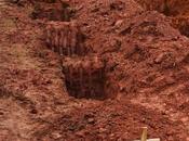 Leao, cane veglia giorni tomba della padrona