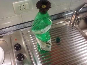 bottiglia vuota plastica