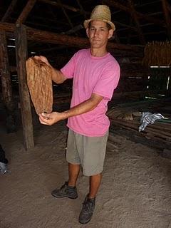 VALLE DI VINALES