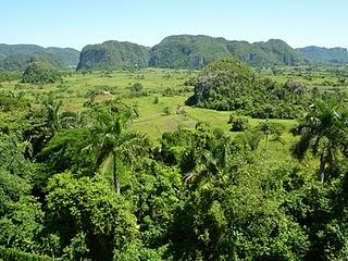 VALLE DI VINALES