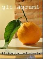 coniglio all'arancia