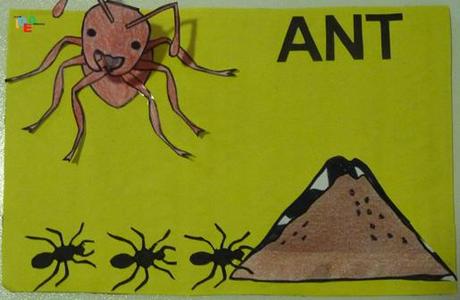 A COME… ANT=FORMICA