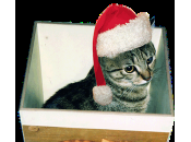 Buon Natale