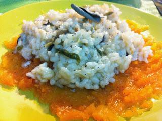 Risotto veloce con bietole e porri su purè di zucca.