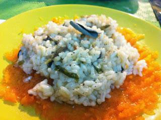 Risotto veloce con bietole e porri su purè di zucca.