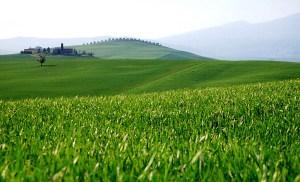 Panorama toscano