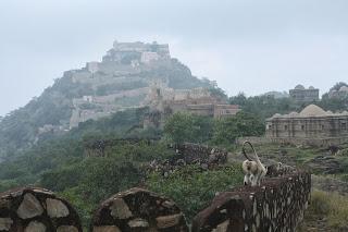 Kumbhalgarh, trekking sulla muraglia cinese del Rajasthan