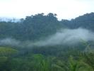 Ghana: a rischio la foresta di Atiwa