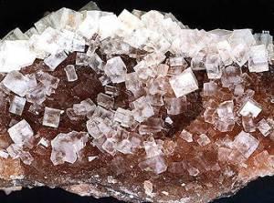 silvite