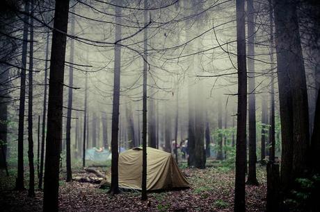 Campeggio nei boschi