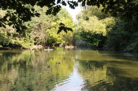 L’Olona entra in città: ricostruzione del corridoio ecologico fluviale nel tessuto metropolitano denso