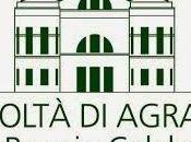 Borse studio UNIRC-Camera Commercio: nuovo bando.